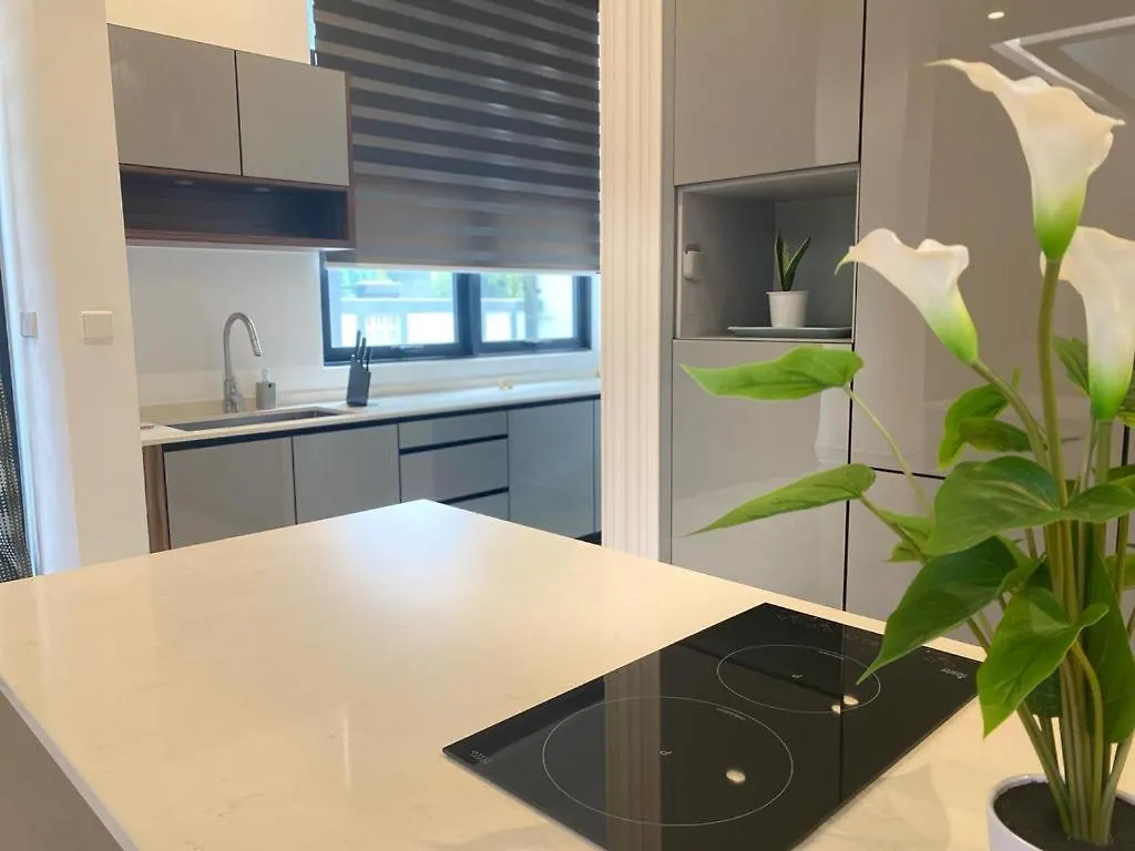 Mawar Villa By Malvacae Homestay Shah Alam